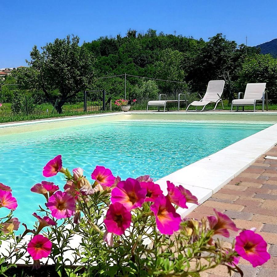 Agriturismo "Veritas" Bed & Wine Casaleggio Boiro Екстериор снимка
