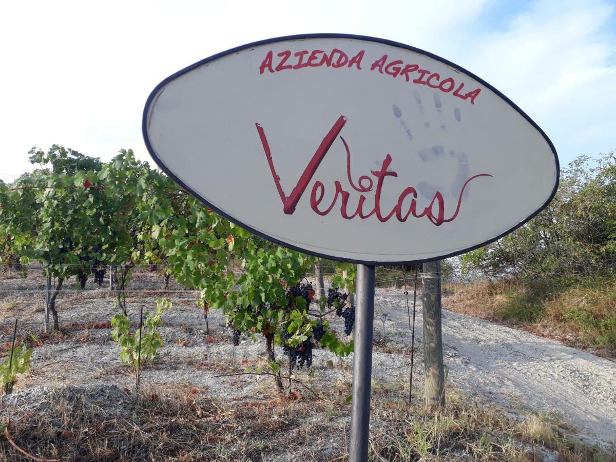 Agriturismo "Veritas" Bed & Wine Casaleggio Boiro Екстериор снимка