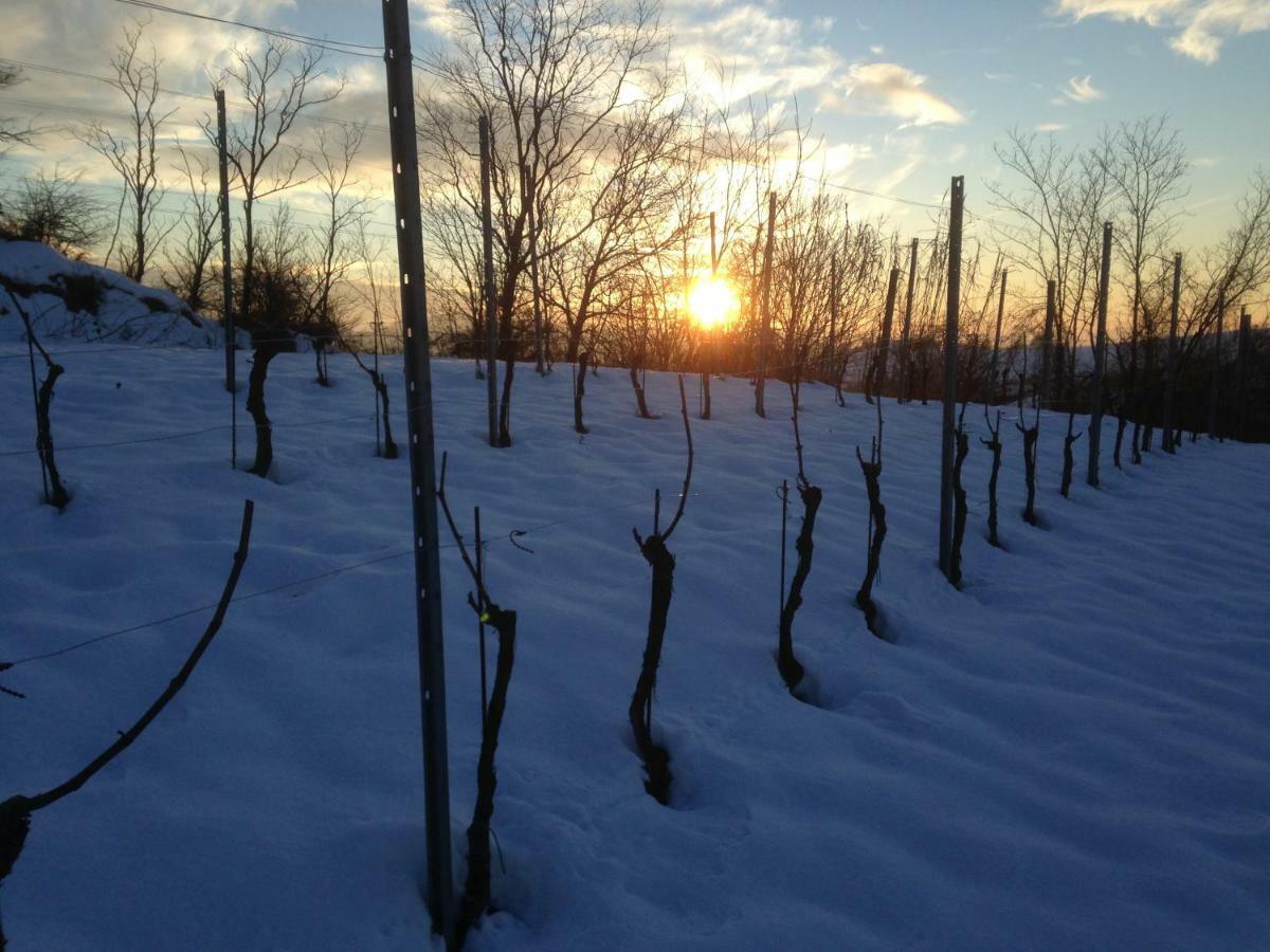 Agriturismo "Veritas" Bed & Wine Casaleggio Boiro Екстериор снимка