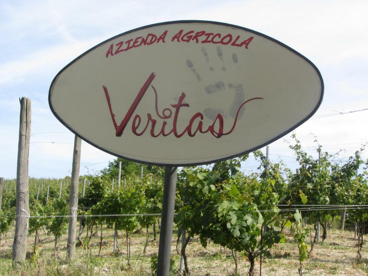 Agriturismo "Veritas" Bed & Wine Casaleggio Boiro Екстериор снимка